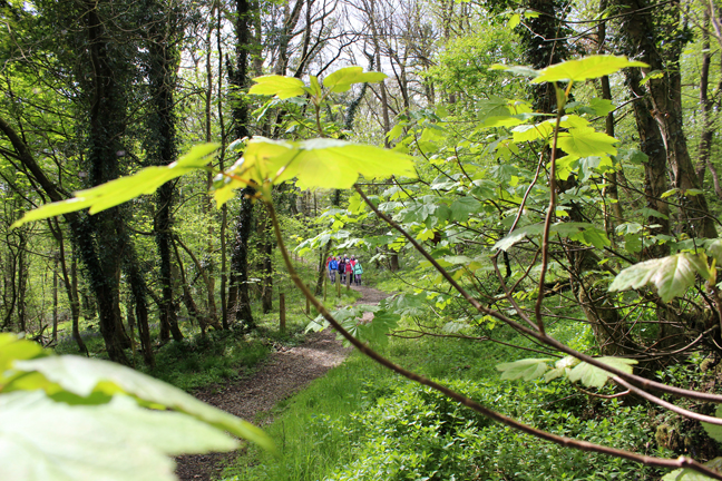 Forest of Bowland AONB